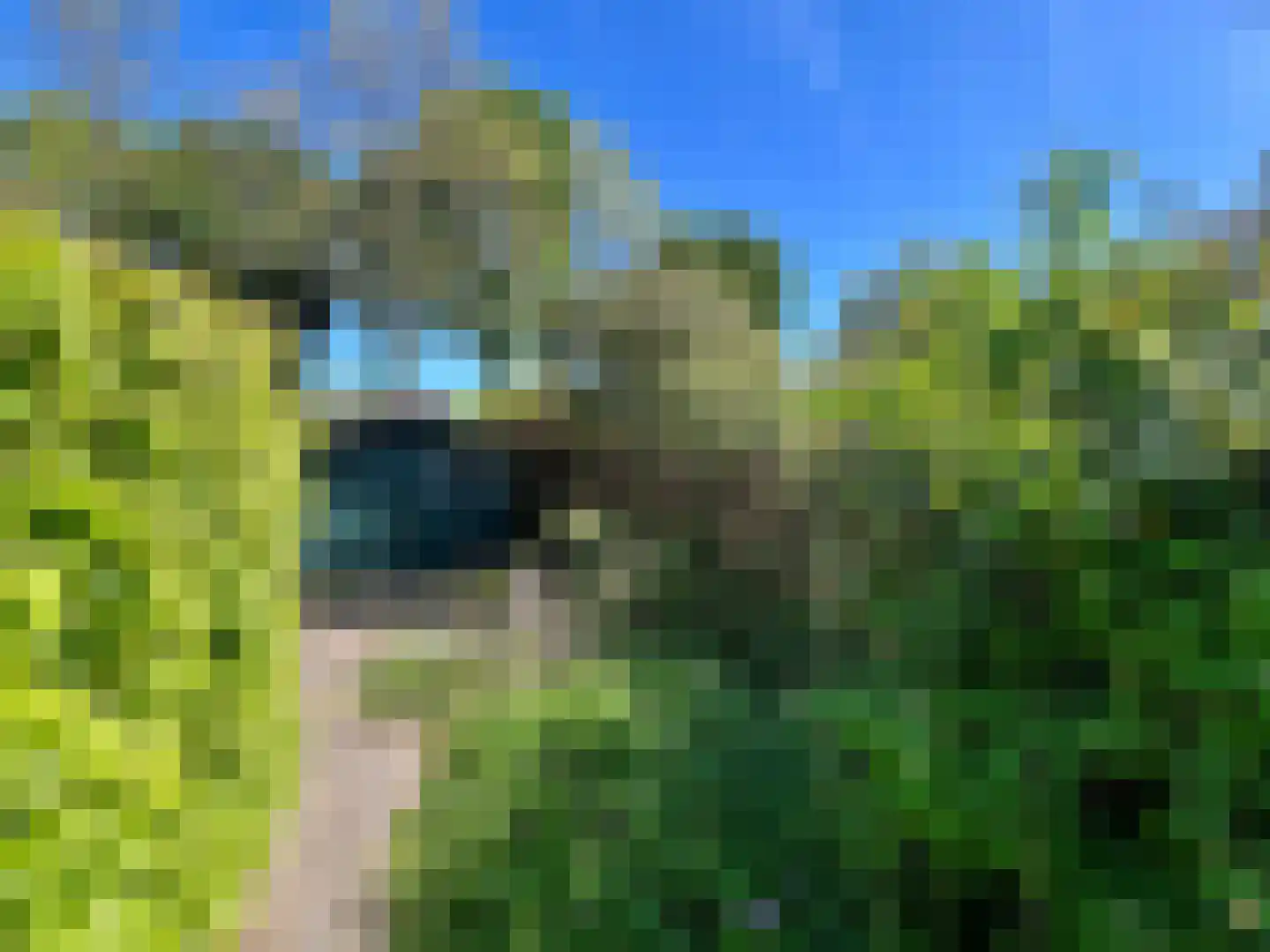 Biezenakker 23 Ulft thumbnail 14