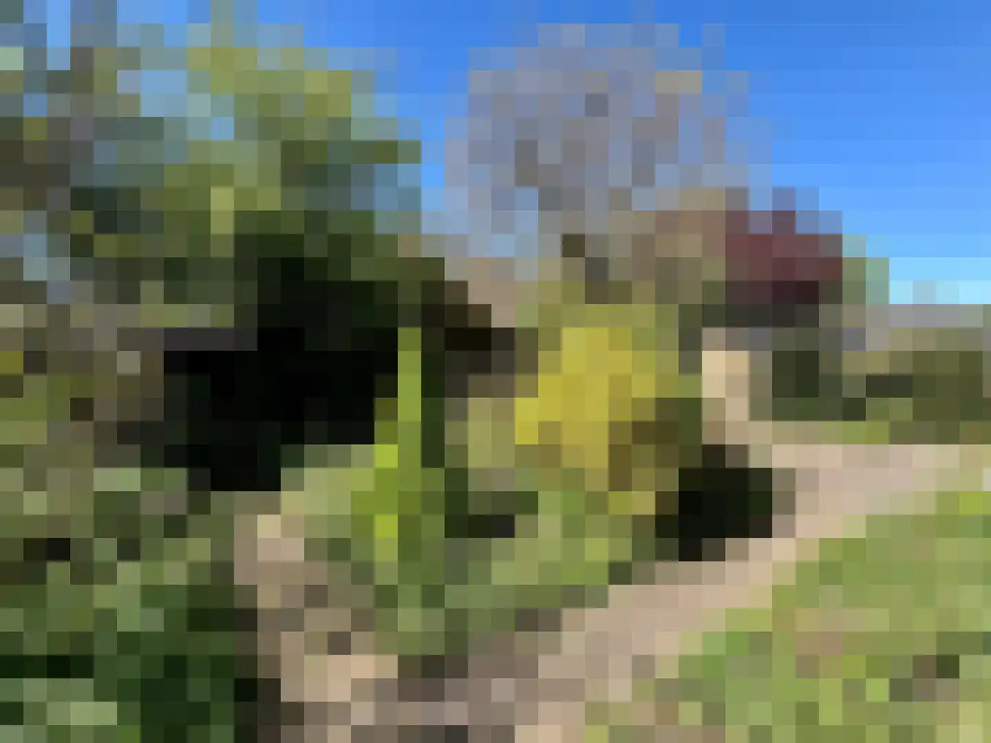 Biezenakker 23 Ulft thumbnail 15