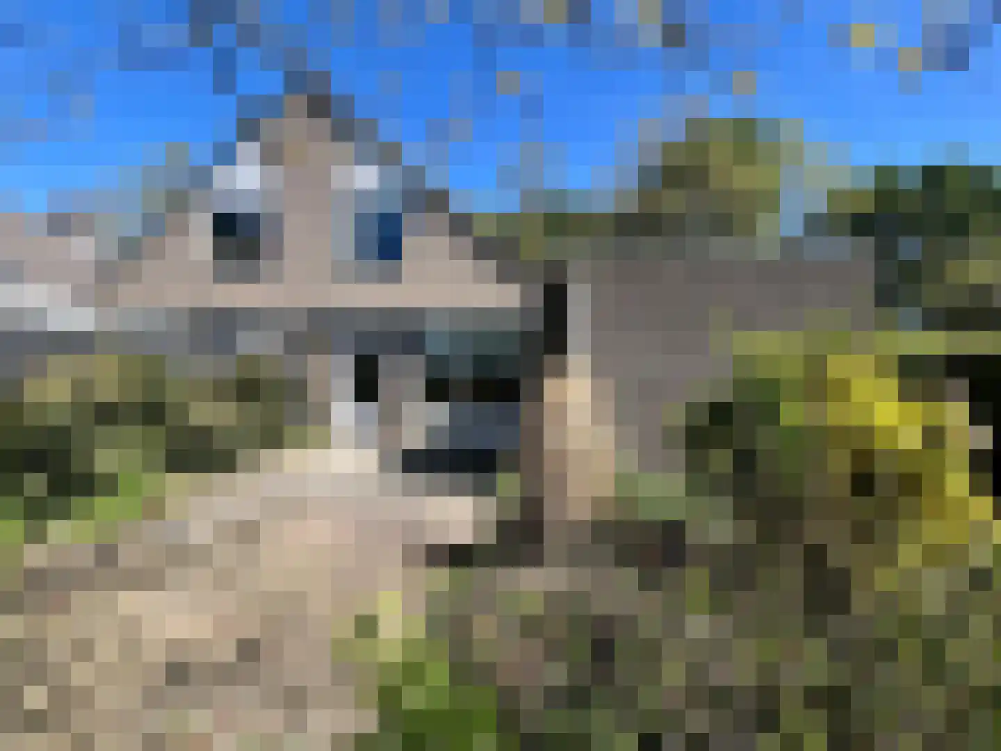 Biezenakker 23 Ulft foto 2