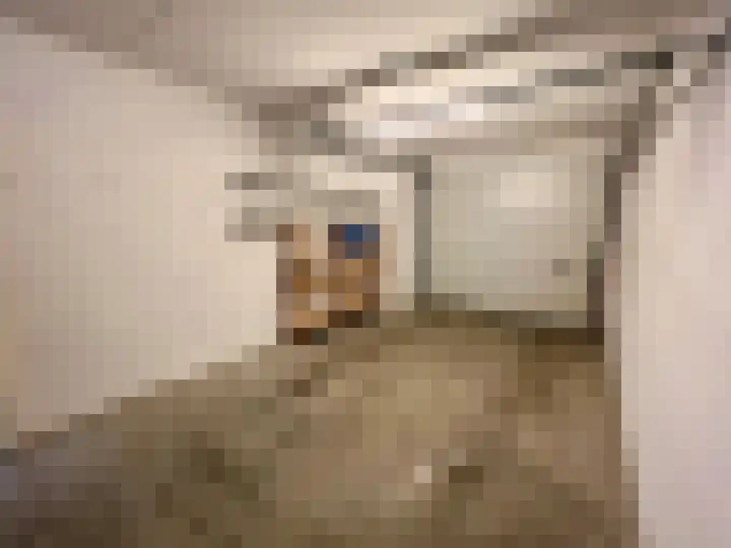 Biezenakker 23 Ulft thumbnail 24