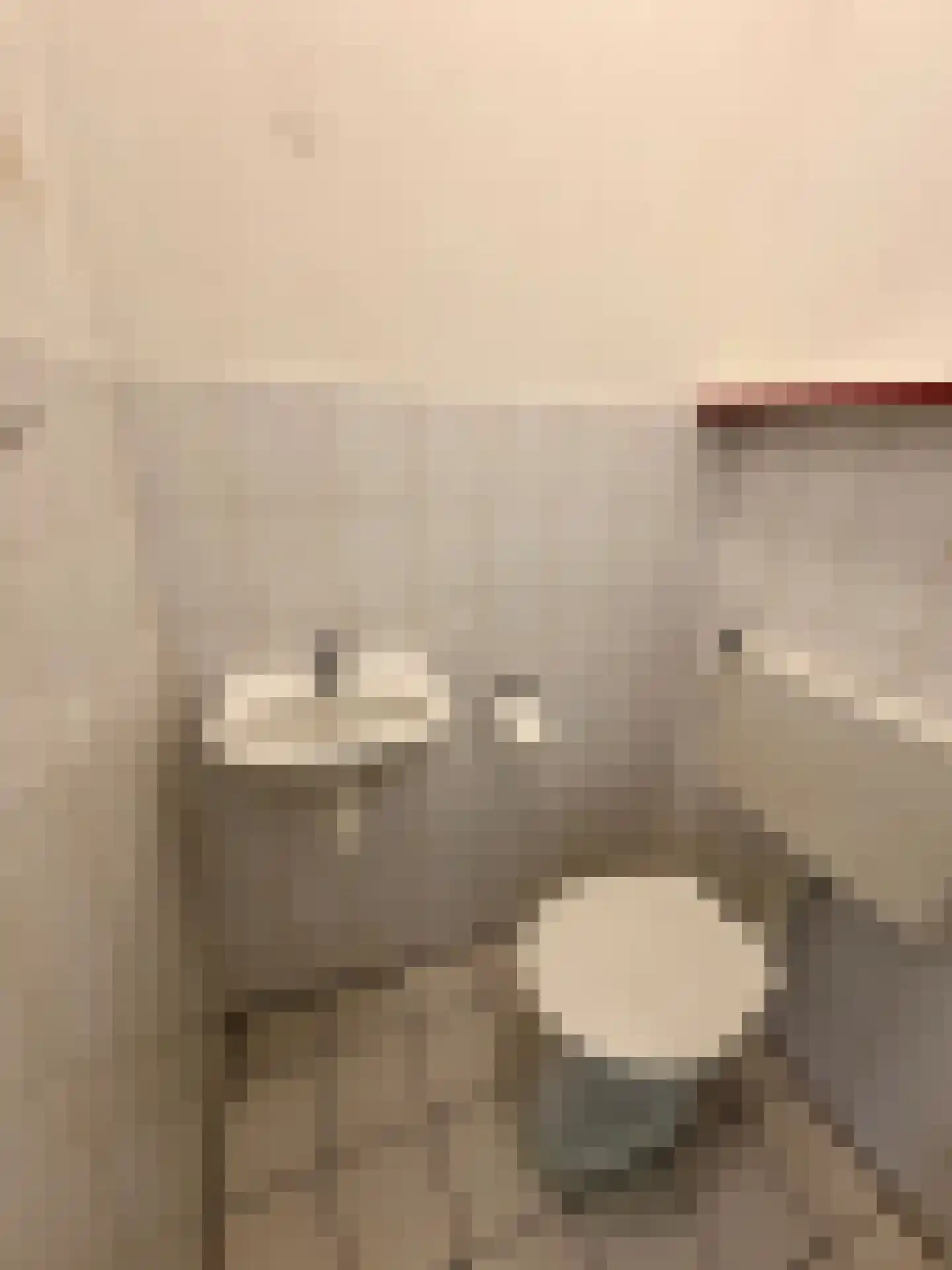 Biezenakker 23 Ulft thumbnail 25