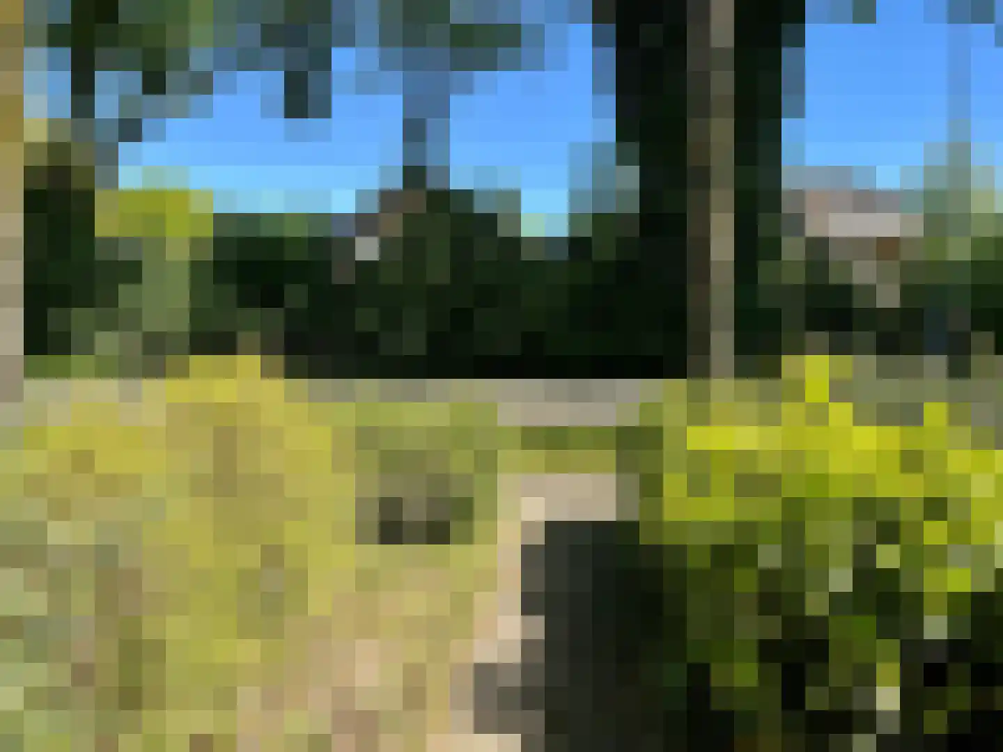 Biezenakker 23 Ulft thumbnail 32