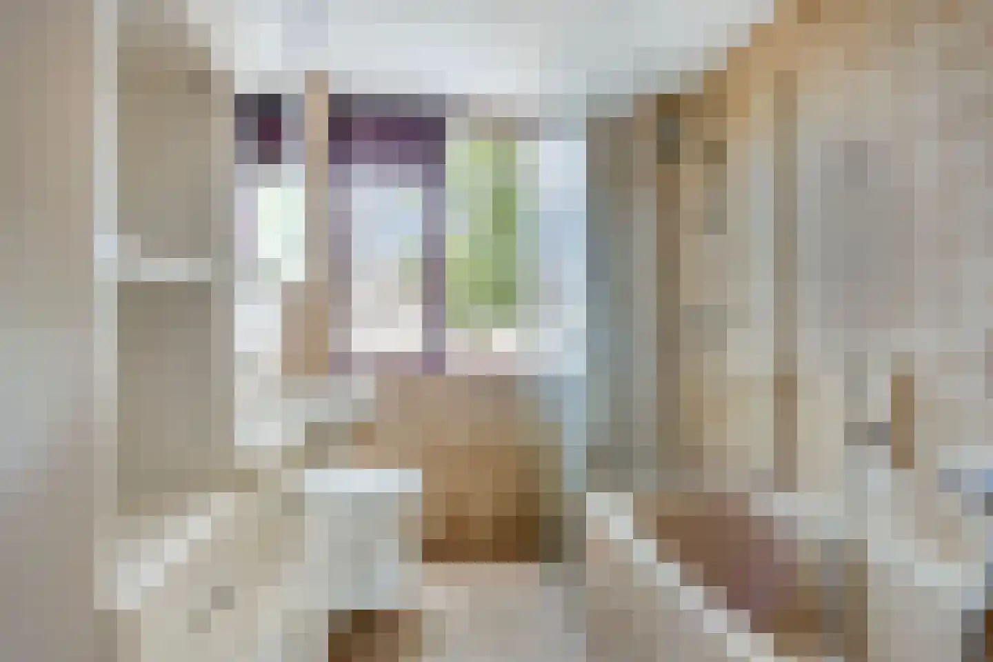 Biezenbaan 2 Halsteren thumbnail 17