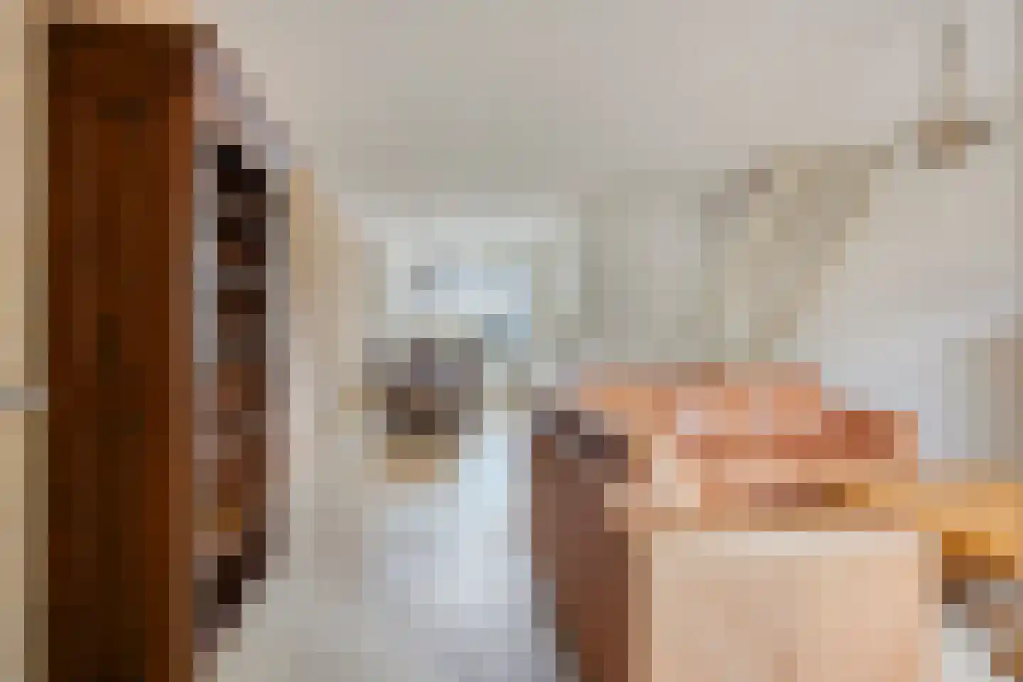 Biezenbaan 2 Halsteren foto 2