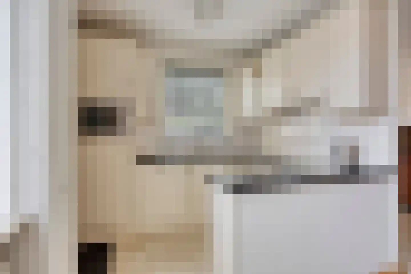 Biezenbaan 2 Halsteren foto 3