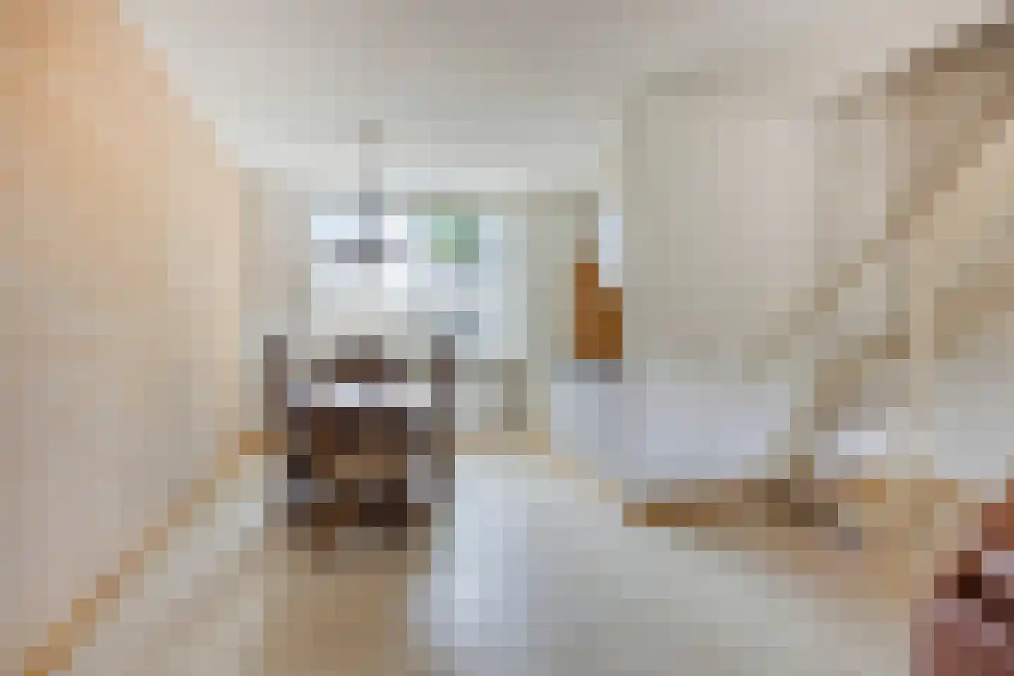 Biezenbaan 2 Halsteren thumbnail 7