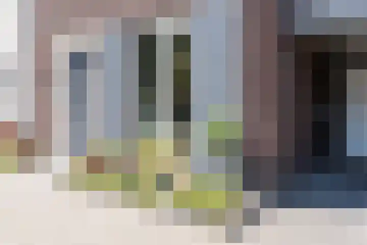 Biezenbaan 7 Halsteren thumbnail 11
