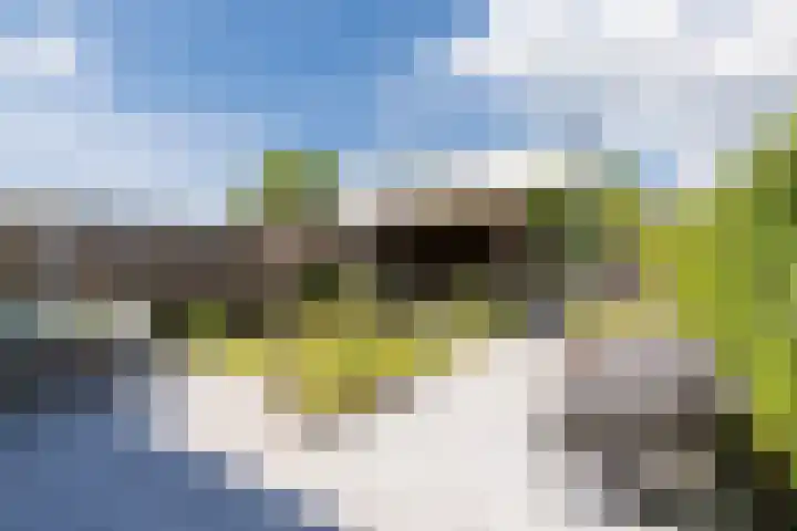Biezenbaan 7 Halsteren thumbnail 14