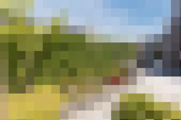 Biezenbaan 7 Halsteren thumbnail 17