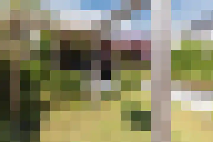 Biezenbaan 7 Halsteren thumbnail 18