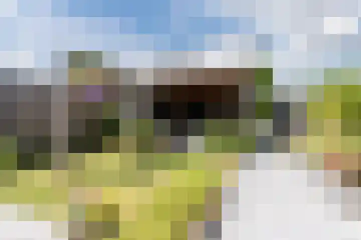 Biezenbaan 7 Halsteren thumbnail 19
