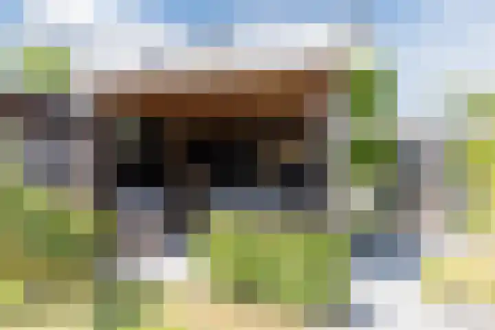 Biezenbaan 7 Halsteren thumbnail 20