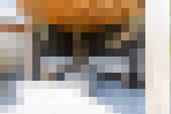 Biezenbaan 7 Halsteren thumbnail 21