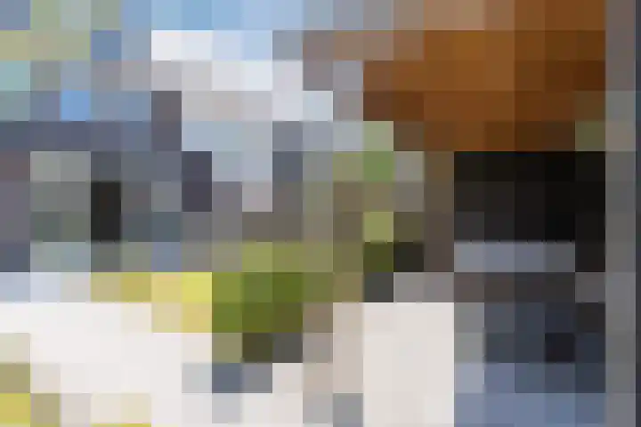 Biezenbaan 7 Halsteren thumbnail 22