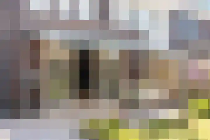 Biezenbaan 7 Halsteren thumbnail 23