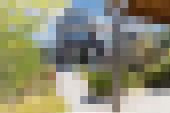 Biezenbaan 7 Halsteren thumbnail 24