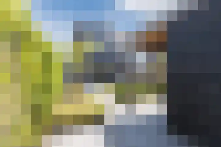 Biezenbaan 7 Halsteren thumbnail 25