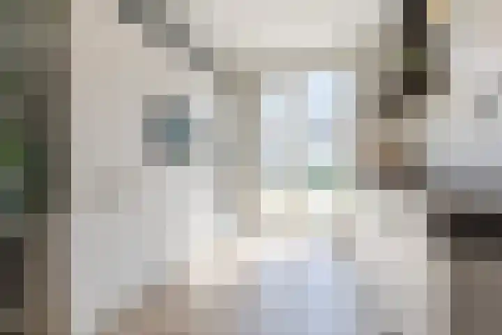 Biezenbaan 7 Halsteren thumbnail 37