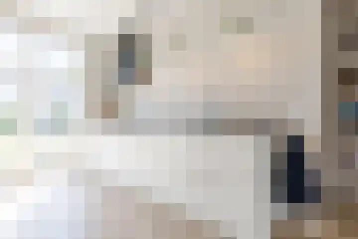 Biezenbaan 7 Halsteren thumbnail 38