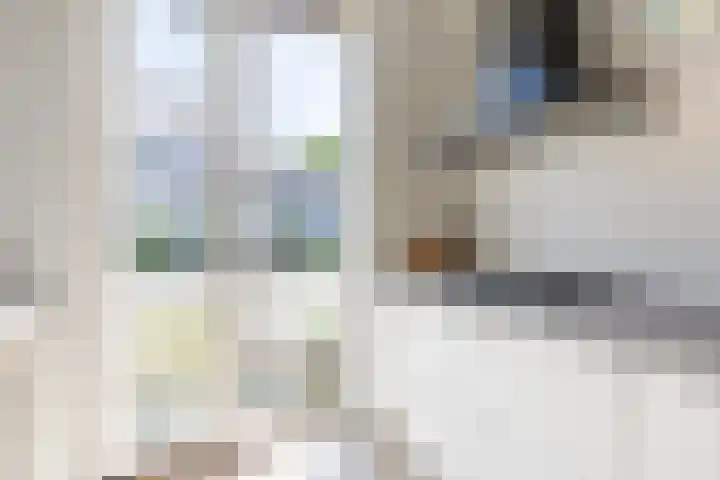 Biezenbaan 7 Halsteren thumbnail 39
