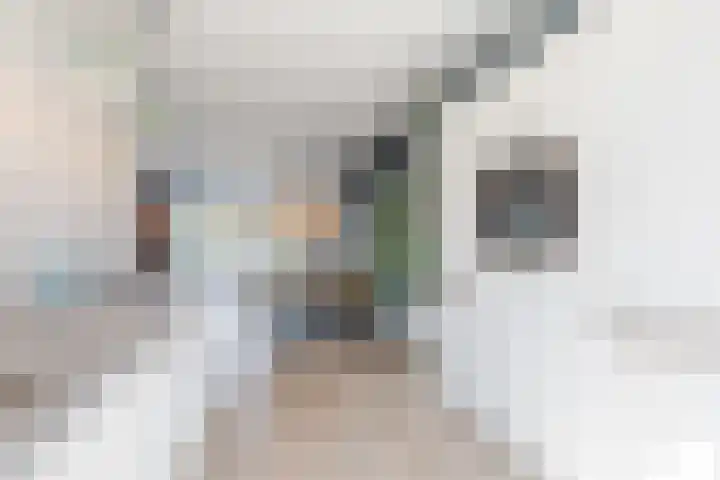 Biezenbaan 7 Halsteren thumbnail 40