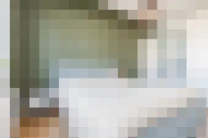 Biezenbaan 7 Halsteren thumbnail 47