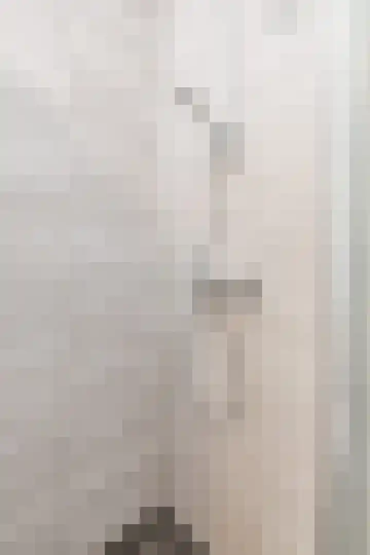 Biezenbaan 7 Halsteren thumbnail 57
