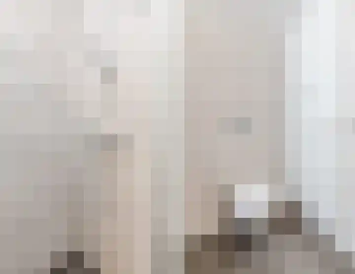 Biezenbaan 7 Halsteren thumbnail 59