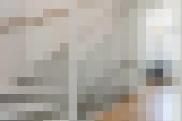 Biezenbaan 7 Halsteren thumbnail 61