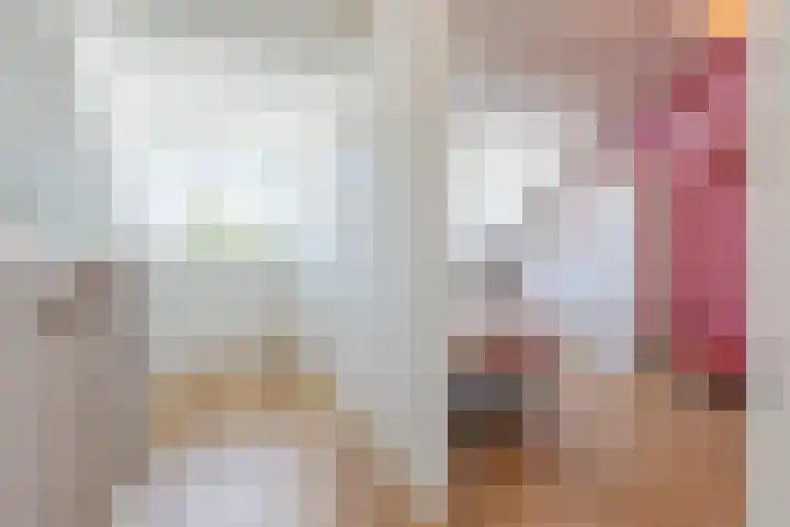 Biezenbaan 7 Halsteren thumbnail 65