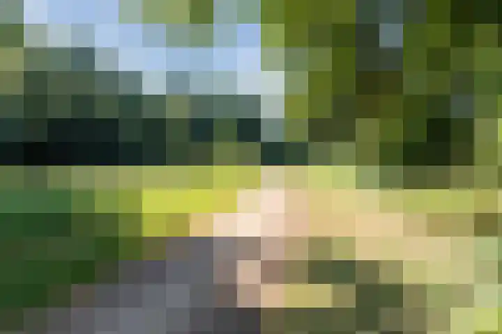 Biezenbaan 7 Halsteren thumbnail 69