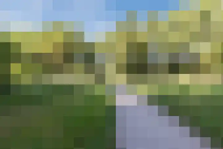 Biezenbaan 7 Halsteren thumbnail 70