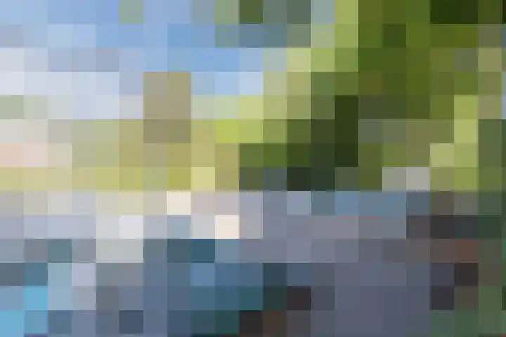 Biezenbaan 7 Halsteren thumbnail 71
