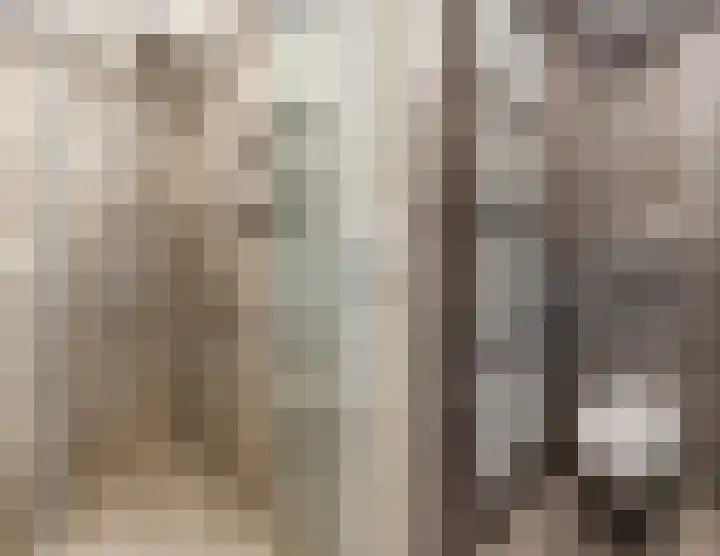 Biezenbeemd 15 Oosterhout thumbnail 22