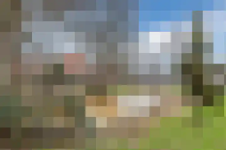 Biezenbeemd 15 Oosterhout thumbnail 38