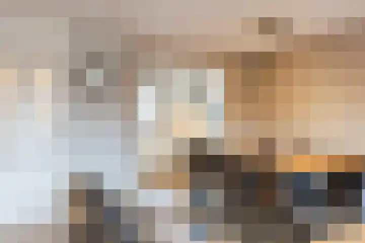 Biezenbeemd 15 Oosterhout thumbnail 7