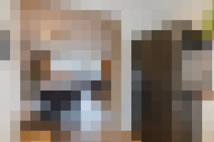 Biezenbeemd 15 Oosterhout thumbnail 9