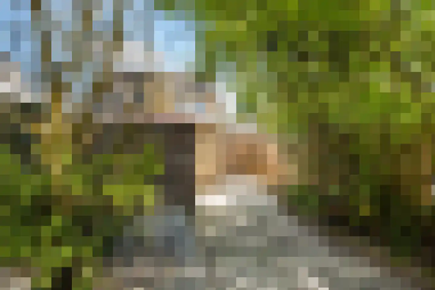 Biezenbloker 8 Puttershoek thumbnail 21