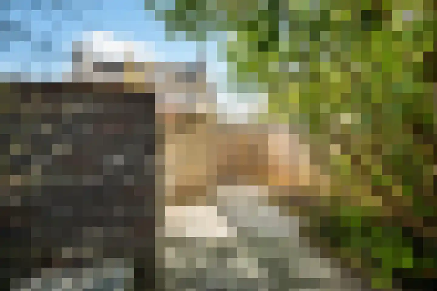 Biezenbloker 8 Puttershoek thumbnail 22