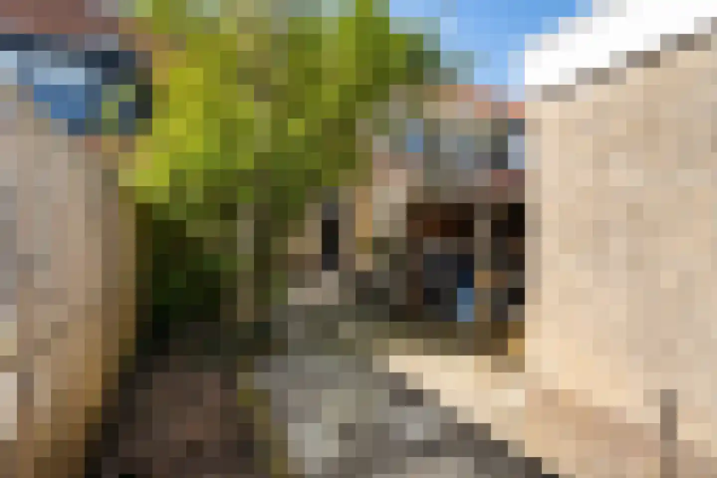 Biezenbloker 8 Puttershoek thumbnail 24