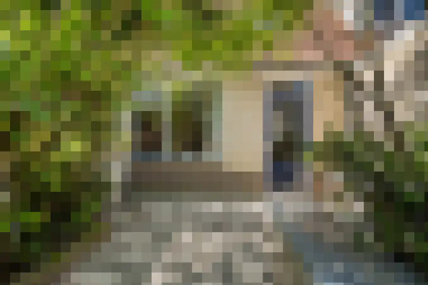Biezenbloker 8 Puttershoek thumbnail 25