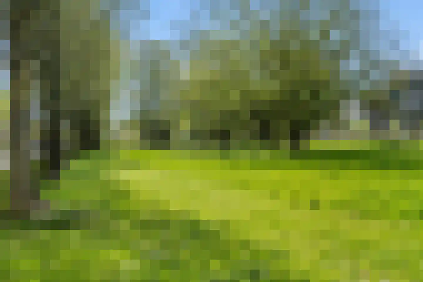 Biezenbloker 8 Puttershoek thumbnail 27
