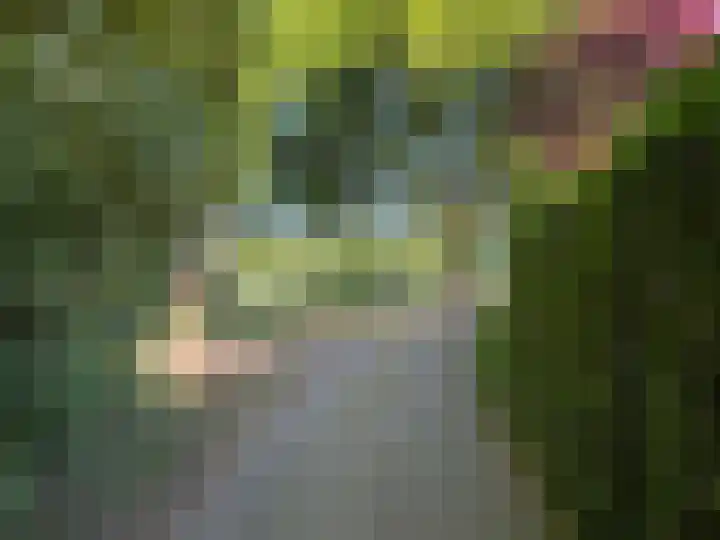 Biezenbrugstraat 4 Coevorden thumbnail 13