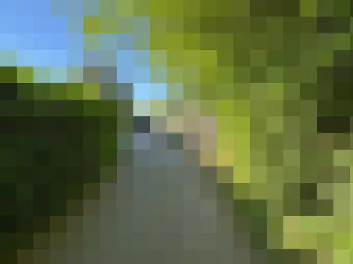 Biezenbrugstraat 4 Coevorden thumbnail 14