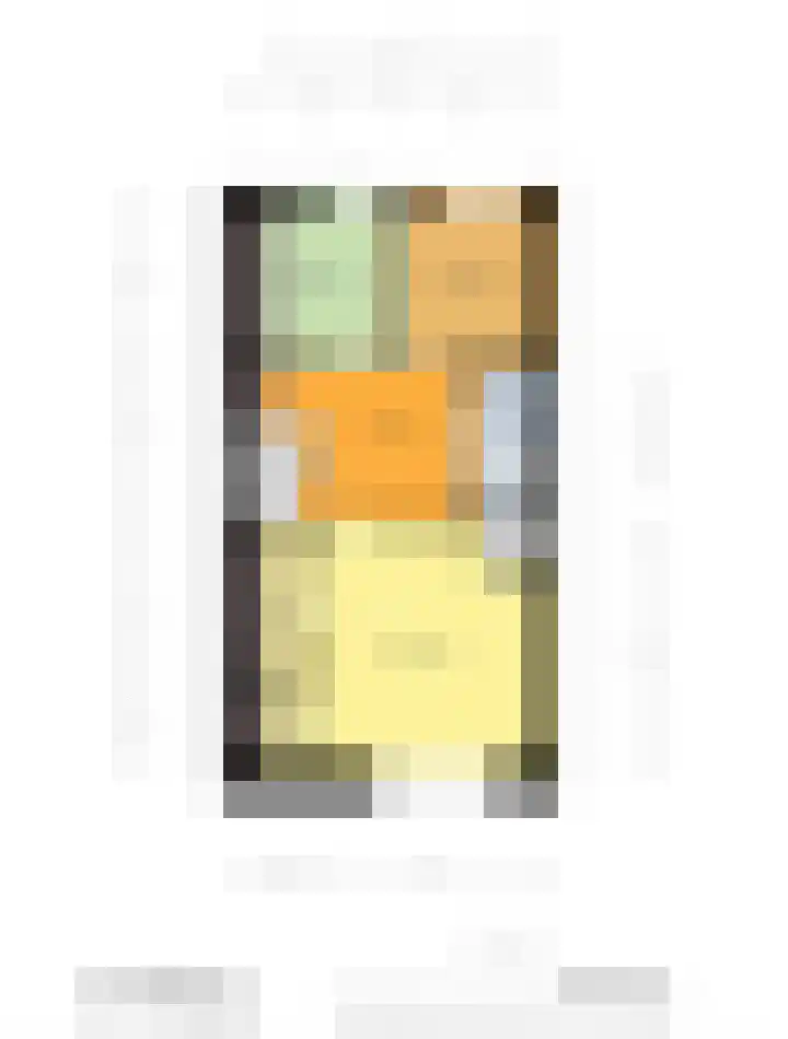 Biezenbrugstraat 4 Coevorden thumbnail 31