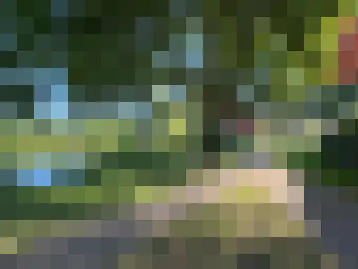 Biezenbrugstraat 4 Coevorden thumbnail 4