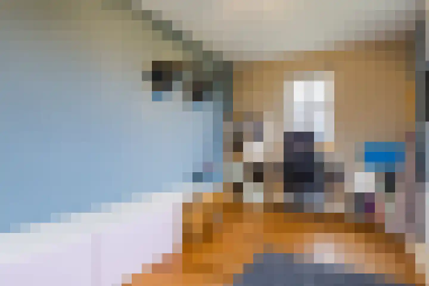 Biezenburgseweg 2 a Echteld thumbnail 16