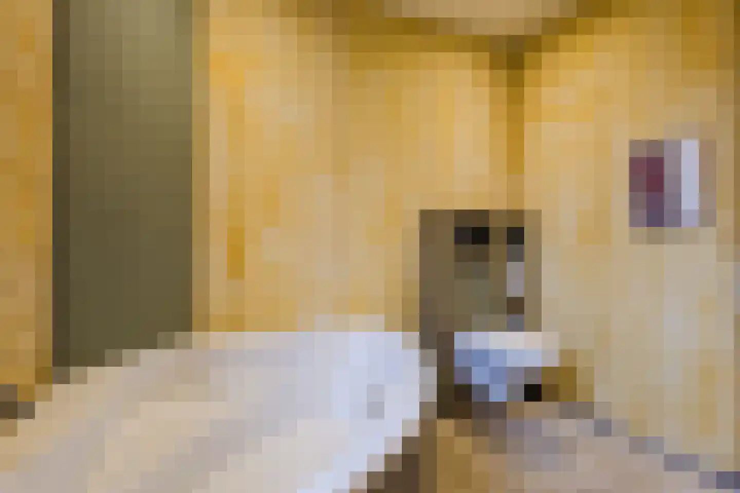 Biezenburgseweg 2 a Echteld thumbnail 20