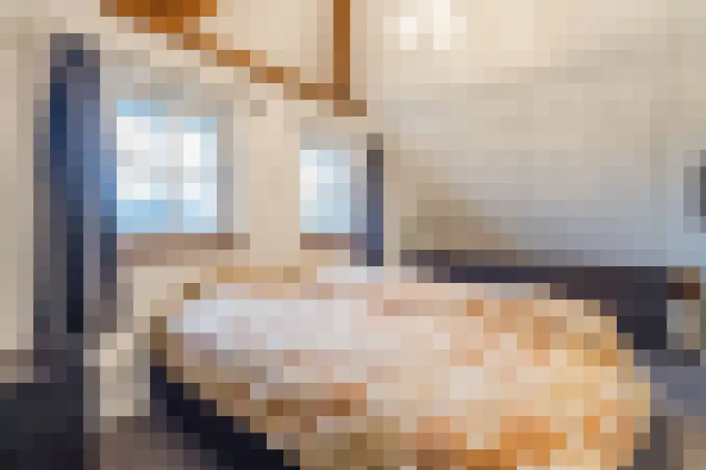 Biezenburgseweg 2 a Echteld thumbnail 24
