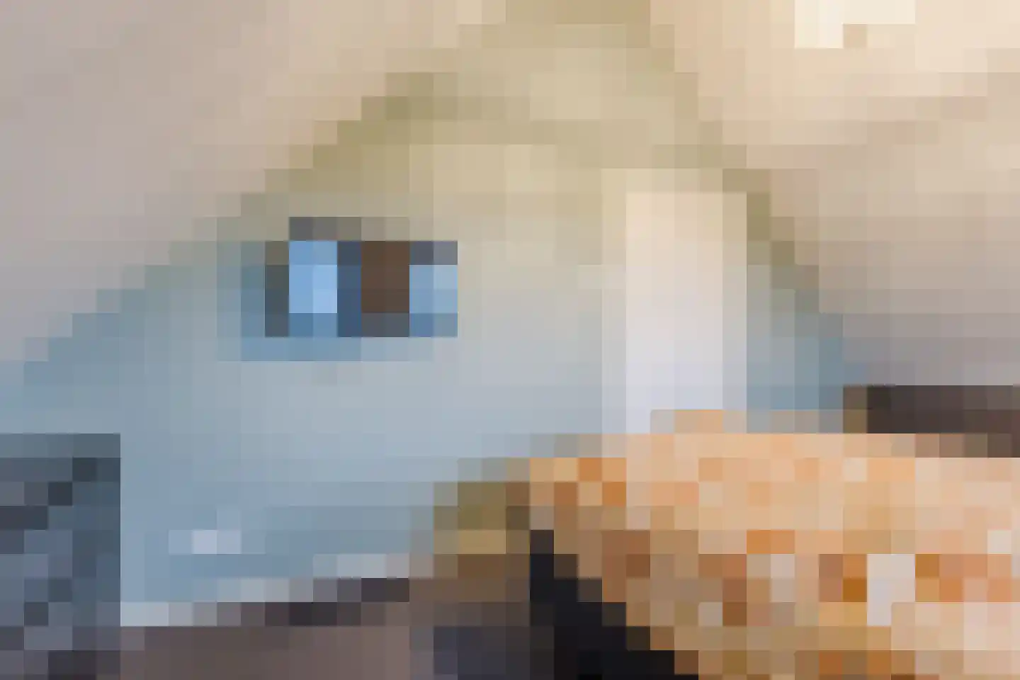 Biezenburgseweg 2 a Echteld thumbnail 26